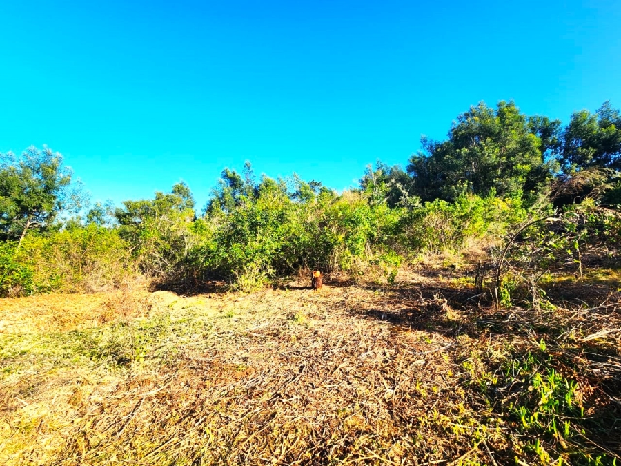 Commercial Property for Sale in Langvlei Dunes Western Cape